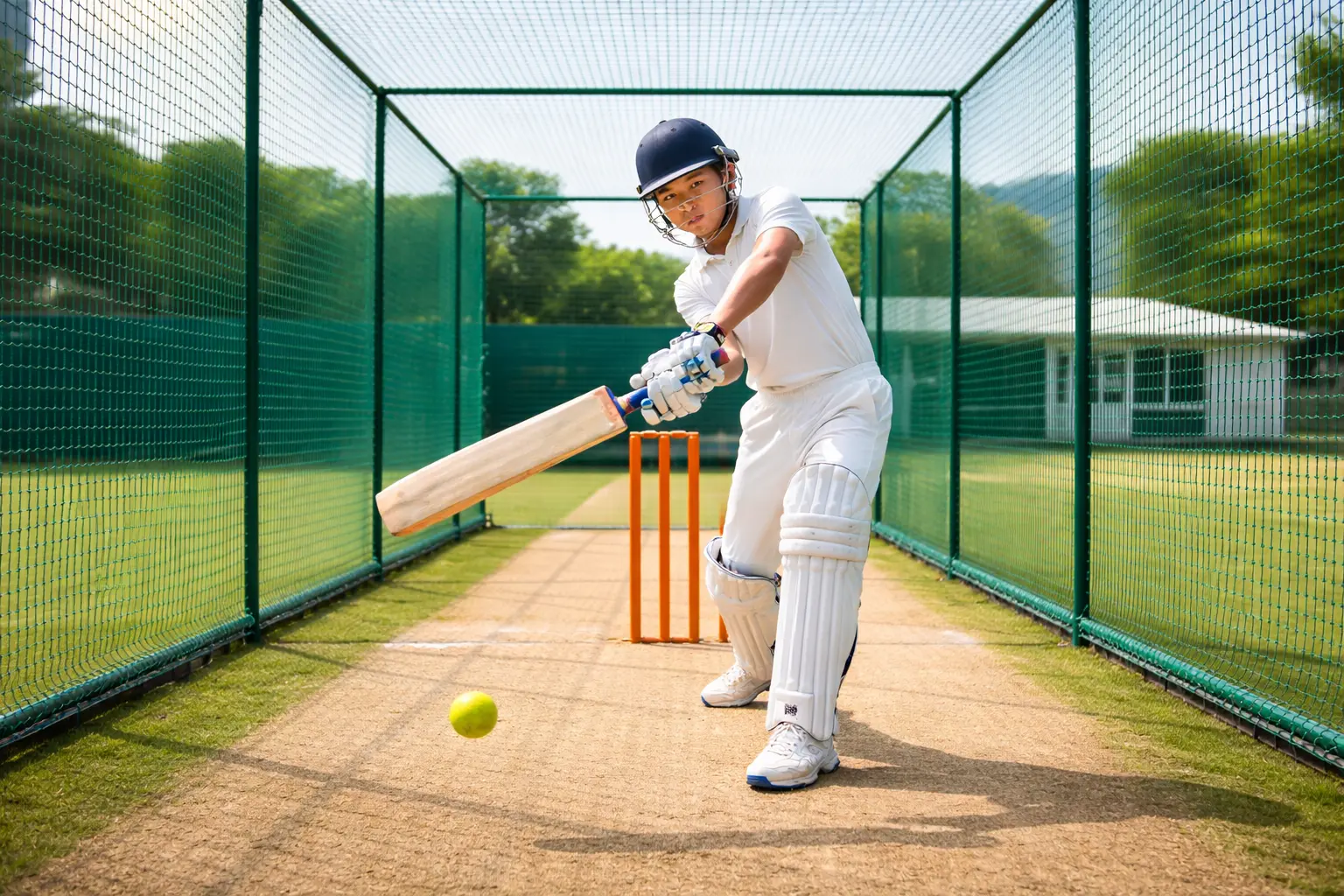 Cricket Practice Nets